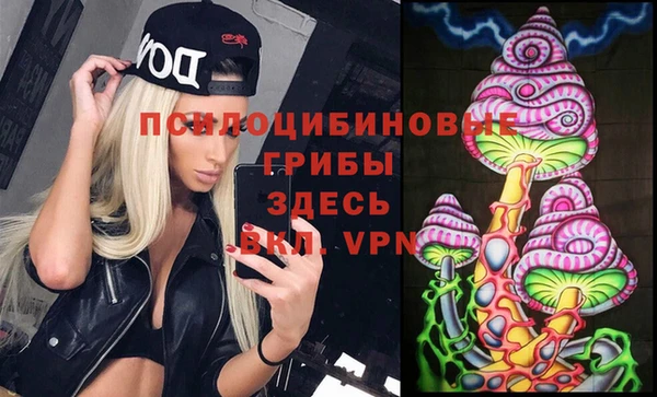 стафф Ельня