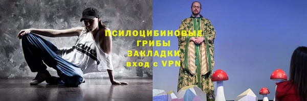 твердый Елабуга