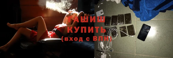 стафф Ельня