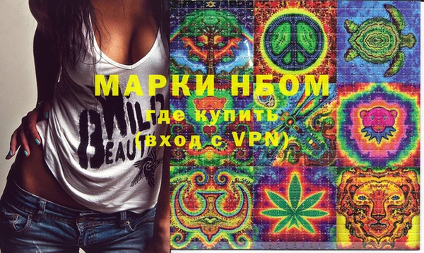 стафф Ельня