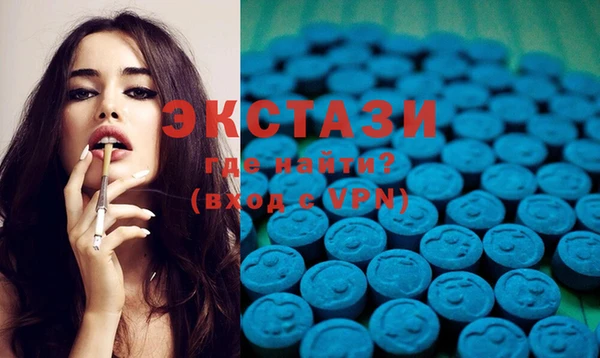 стафф Ельня