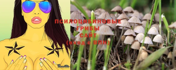 стафф Ельня